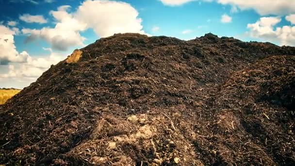 Kompost toprak yığını ile tarım peyzaj — Stok video