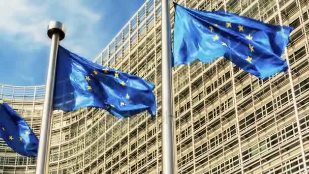 Прапори членів ЄС — стокове відео