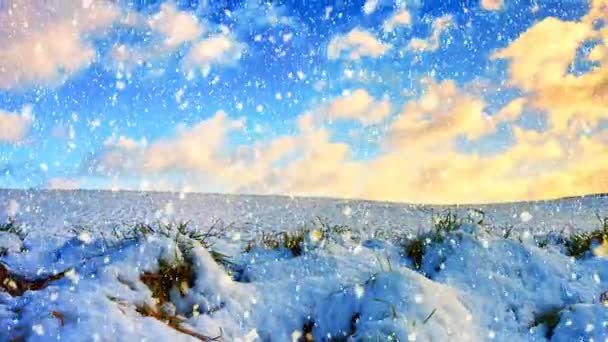 Met sneeuw bedekt landschap van velden — Stockvideo