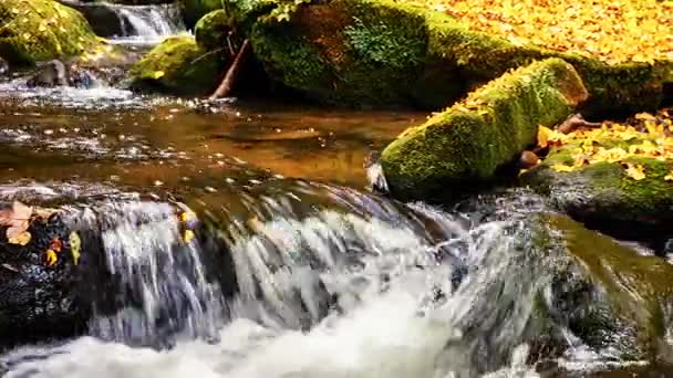 Paisagem de outono com rio — Vídeo de Stock