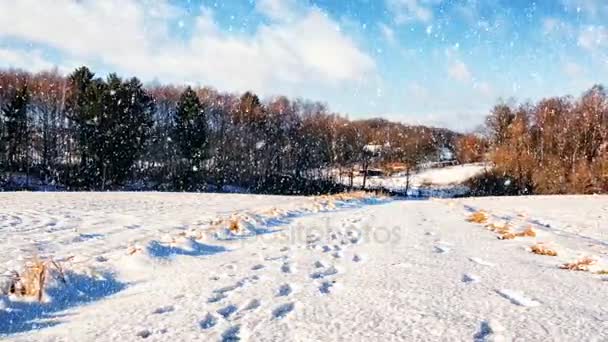 白い道と雪が降る — ストック動画