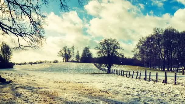 Landschaft mit Bäumen und fallendem Schnee — Stockvideo