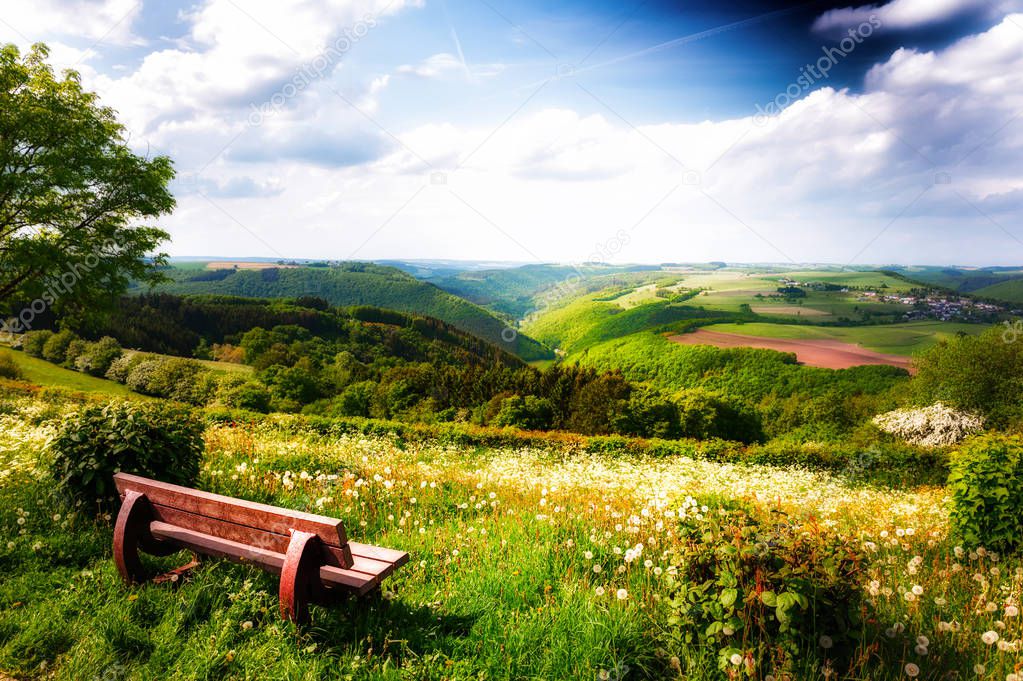 Wooden bench at summer time