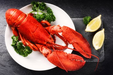 Steamed lobster with lemon   clipart
