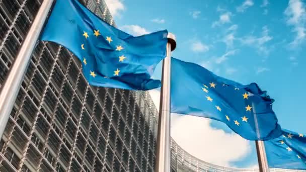 Banderas de la Unión Europea — Vídeo de stock