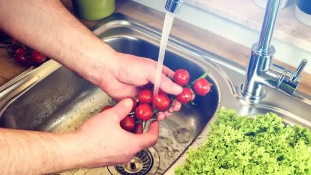 Zweig von Kirschtomaten waschen — Stockvideo