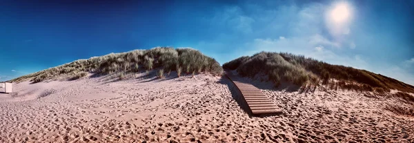 Summer sand dunes — Stock Photo, Image