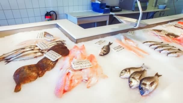 Färsk fisk på isen vid marknaden counter. — Stockvideo