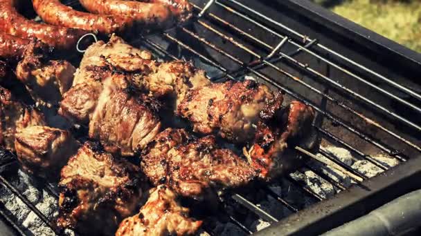 Meat cooking on barbecue grill — Stock Video