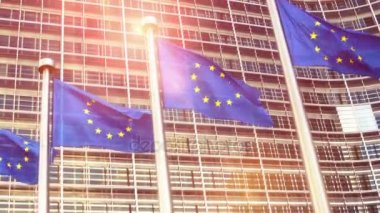 Avrupa Birliği bayrağı