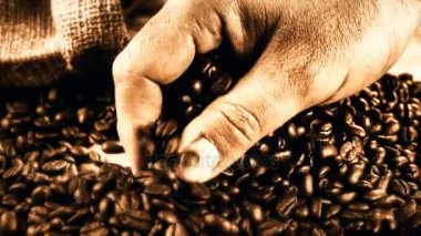 Barista kalite kontrol