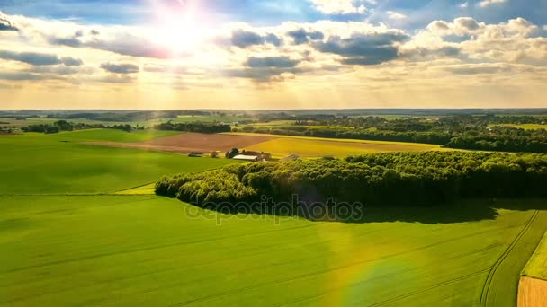 Campi e campagna estiva — Video Stock