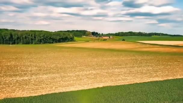 Campos agrícolas y zonas rurales — Vídeos de Stock