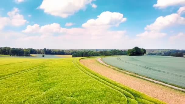 Landstraße und landwirtschaftliche Felder — Stockvideo