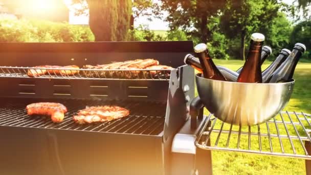 Meat cooking on barbecue grill Video Clip