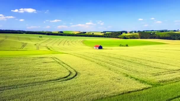 Landbouwgronden en zomer land — Stockvideo