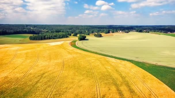 Landbouwgronden en zomer land — Stockvideo