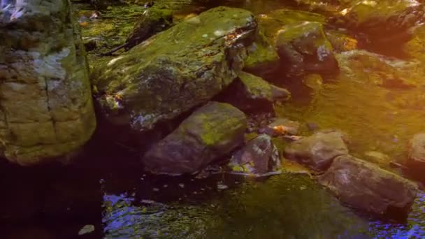 Rochas musgosas no rio da montanha — Vídeo de Stock