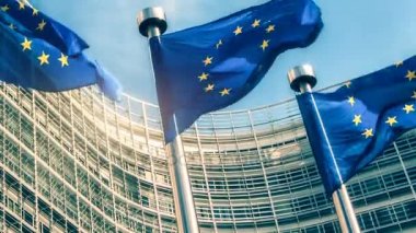 Bayraklar Avrupa Parlamento binası önünde