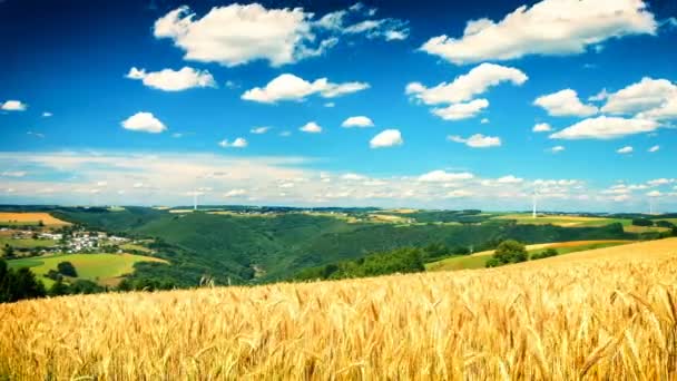 magnifique paysage d'été 