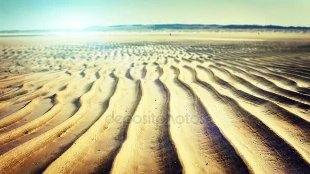 Dunas de arena del desierto — Vídeo de stock