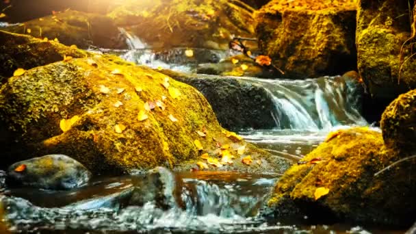 Blick auf kleinen Wasserfall — Stockvideo