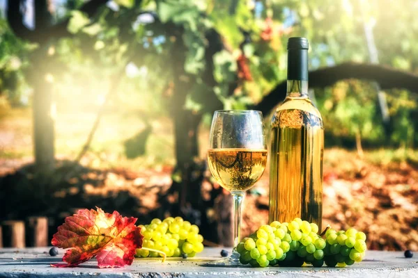 Fles en glas witte wijn — Stockfoto