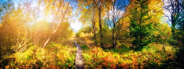 Outono paisagem com caminho país — Fotografia de Stock