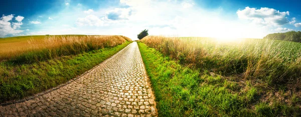 Panoramic landscape with country road. — Stock Photo, Image