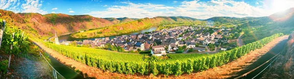 Panoramic Landscape Autumn Vineyards Small Town Mosel Germany — Stock Photo, Image