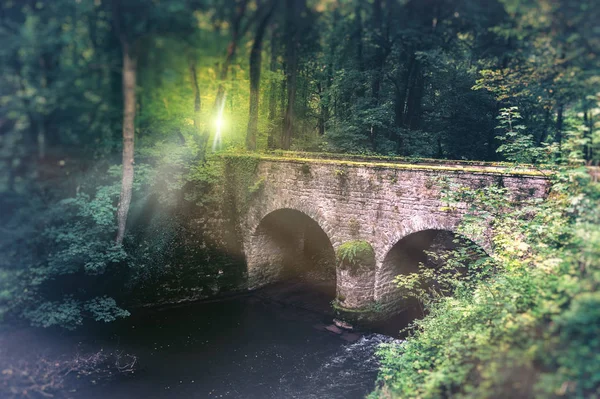 Letní Krajina Starý Most Dlážděné Malé Lesní Řeka — Stock fotografie
