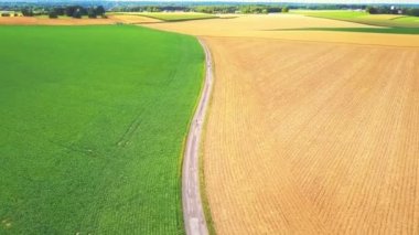 Olgunlaşmış alan, parlak yeşil alan, gökyüzü ve bulutlar.