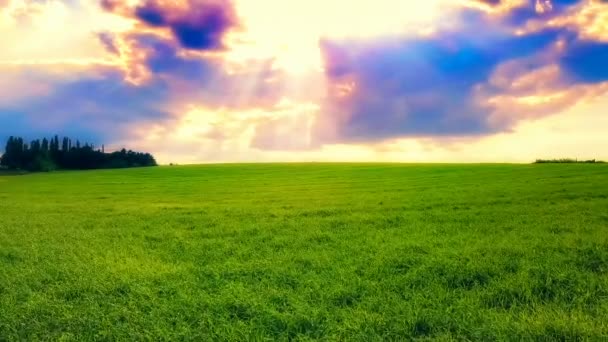 Vista Del Campo Verde Brillante Luz Solar Las Nubes — Vídeos de Stock