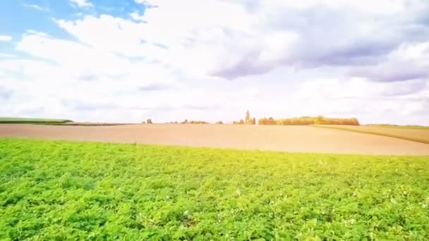 View Ripened Field Bright Green Field Sky Clouds — Stock Video