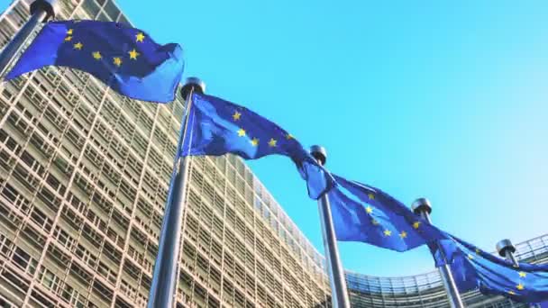 EU medlemmar flaggor — Stockvideo