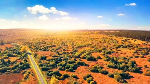 Aerial Krajobraz Panoramiczny Jesienią Tle Natura Upadek — Wideo stockowe