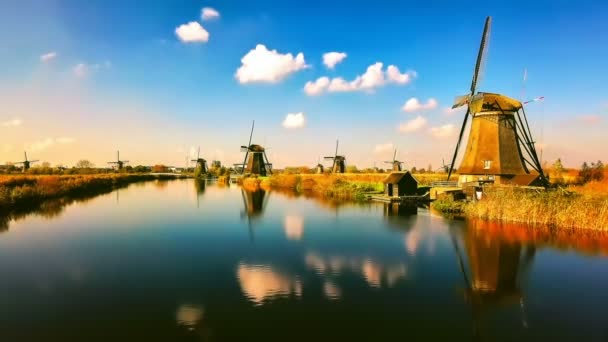 Moulins Vent Traditionnels Hollandais Journée Ensoleillée Automne Pays Bas Full — Video