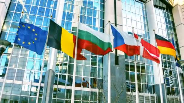 Vlaggen Van Leden Afzien Voor Gebouw Van Het Europeesparlement Brussel — Stockvideo