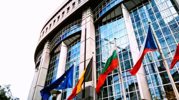 Brussels Belgium 2019 Waving Flags Front European Union Parliament Brussels — 图库视频影像