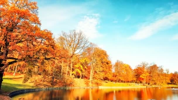 Timelapse Panorama Van Prachtige Herfst Park Meer Zonnige Dag — Stockvideo