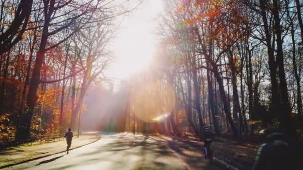 Les Gens Qui Courent Font Vélo Dans Parc Automne Ensoleillé — Video