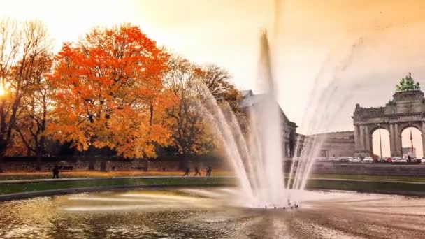 브뤼셀 벨기에 2019 벨기에 브뤼셀에 Cinquantenaire 공원의 사람들 시간을 보내다 — 비디오