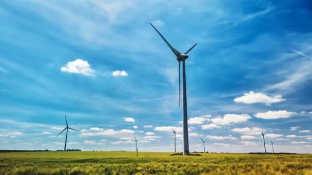 Časová Prodleva Větrnými Turbínami Pšeničným Polem Ekologie Pozadí — Stock video