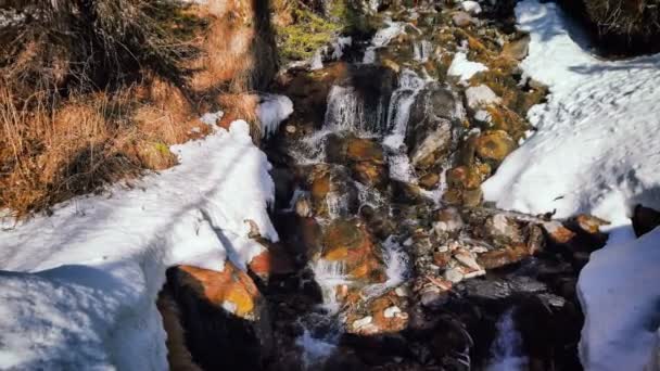 Frühlingslandschaft Mit Waldbach Den Alpen Hintergrund Des Sturzes — Stockvideo