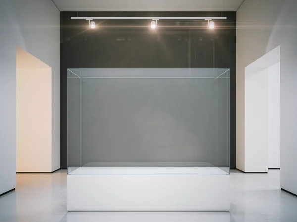 Grande vitrine vide dans la galerie moderne. Rendu 3d — Photo