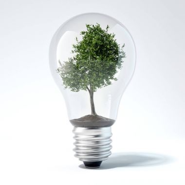 Yeşil ağaçları içine ampul. 3D render