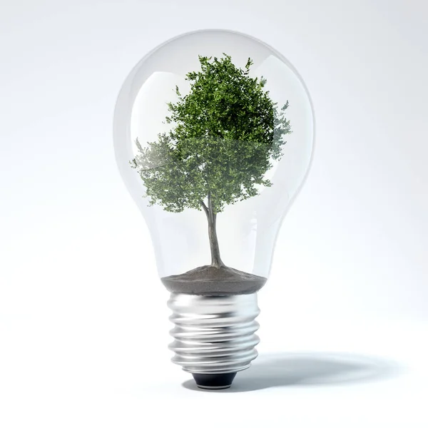 Groene boom binnen gloeilamp. 3D-rendering — Stockfoto