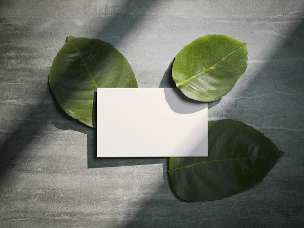 Tree fresh leafs and white busines card. 3d rendering — Stock Photo, Image