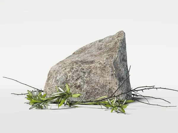 Estudio moderno con piedra, ramas y hojas. renderizado 3d — Foto de Stock