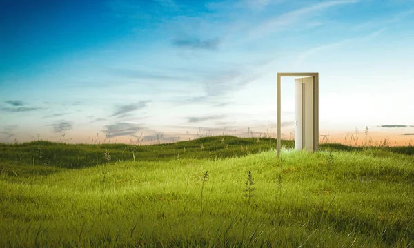 Otevřené dveře na krásné pole. 3D vykreslování — Stock fotografie